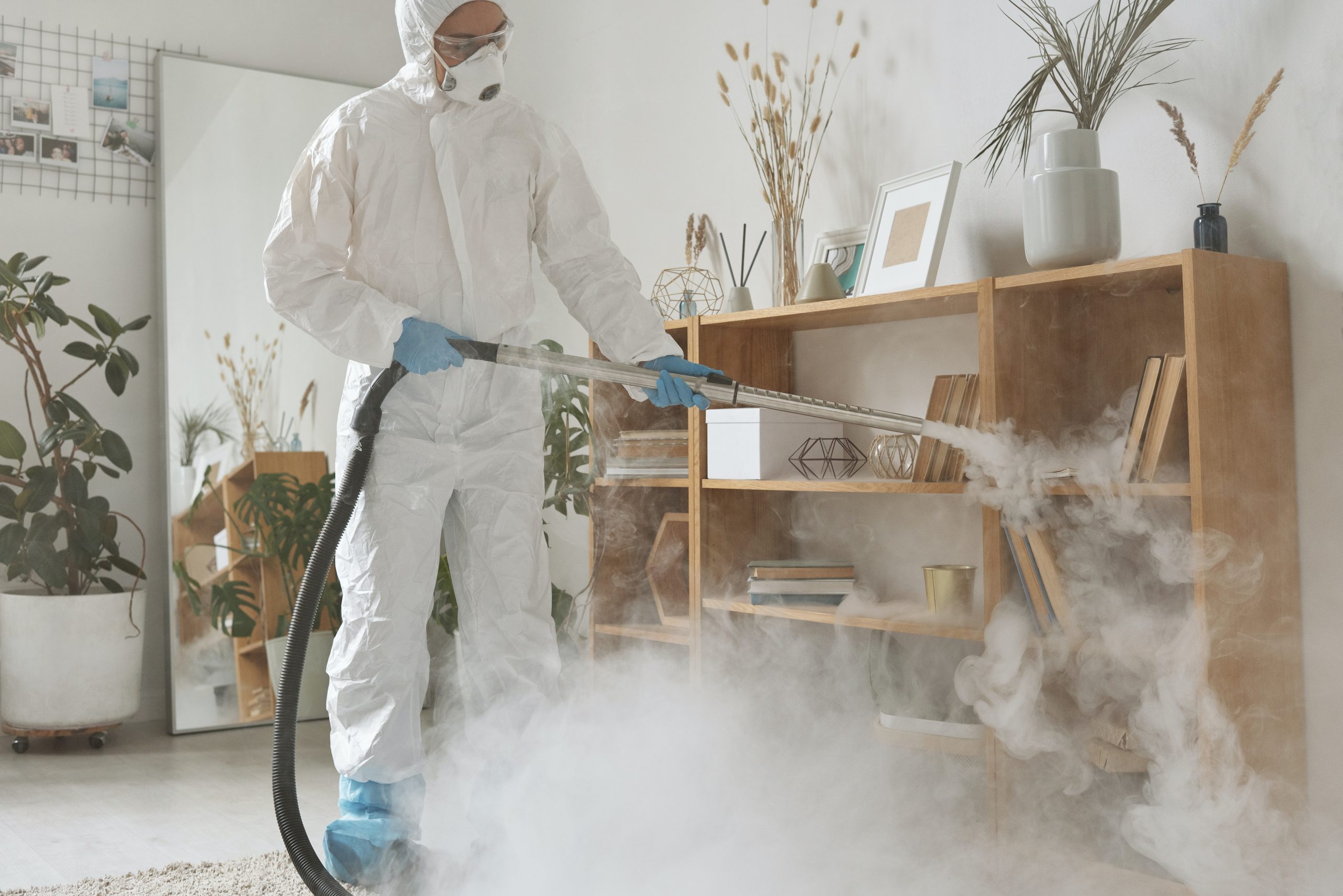 Expert - Exterminations des nuisibles